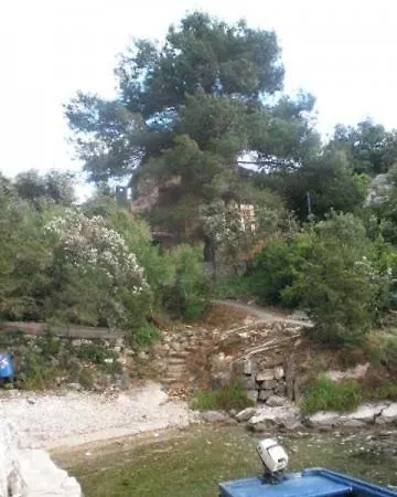 Basina Stari Grad (Hvar)