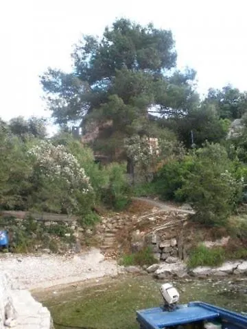 Basina Stari Grad (Hvar)
